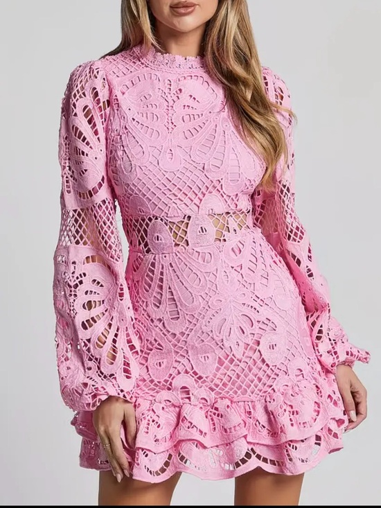 The Unbranded Brand Dresses & Skirts - Pink Lace Cutout Mini Dress with Ruffle Hem